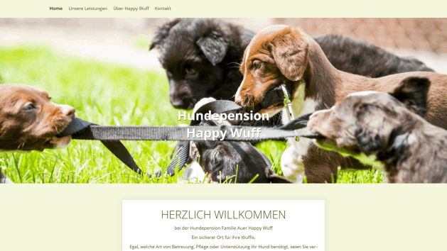 pageflix.de - Ihre professionelle Webseite erstellen und betreiben lassen